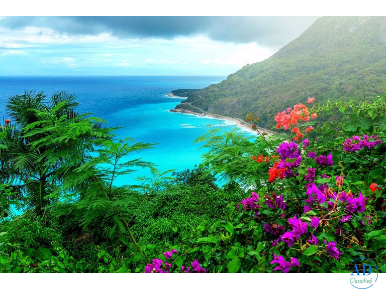 Ya tienes tu Ticket para viajar a Republica Dominicana?