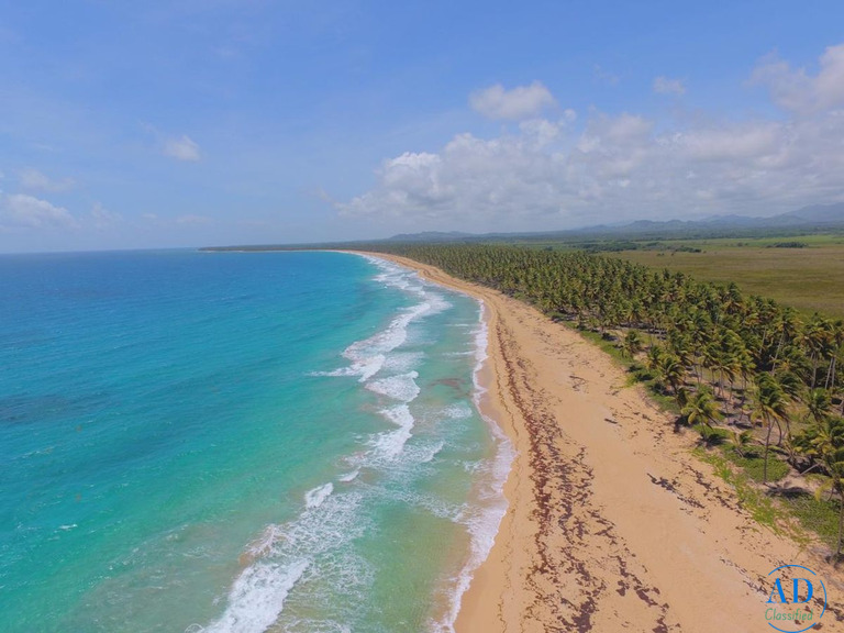 Ya tienes tu Ticket para viajar a Republica Dominicana?