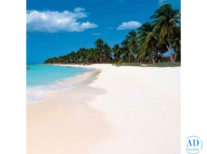 Ya tienes tu Ticket para viajar a Republica Dominicana?