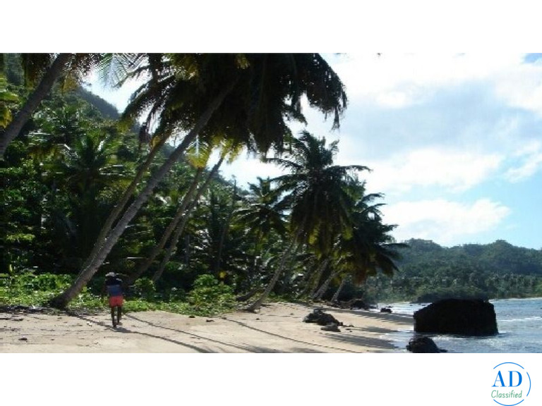 Terrenos en la playa, solares ciudad y fincas en el campo, en venta!