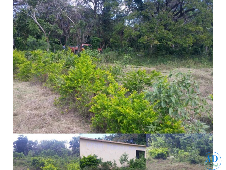 Terrenos en la playa, solares ciudad y fincas en el campo, en venta!