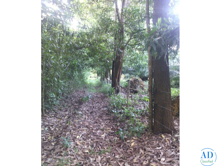Terrenos en la playa, solares ciudad y fincas en el campo, en venta!