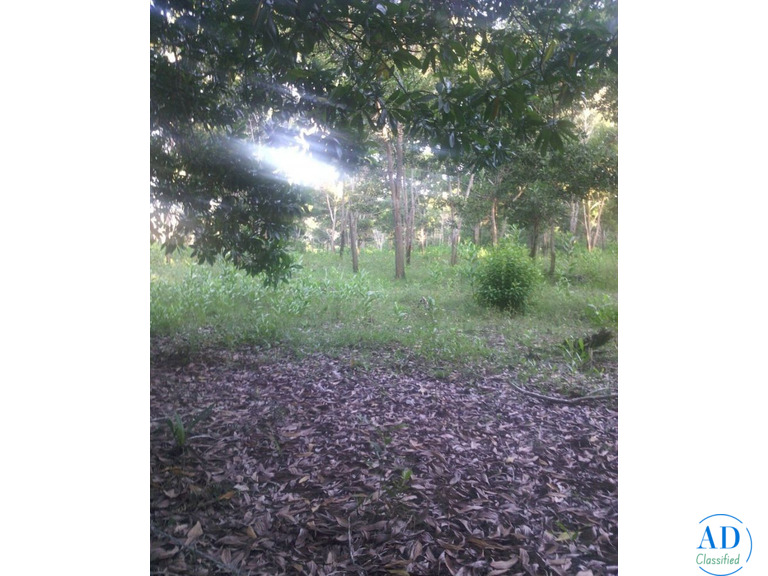 Terrenos en la playa, solares ciudad y fincas en el campo, en venta!
