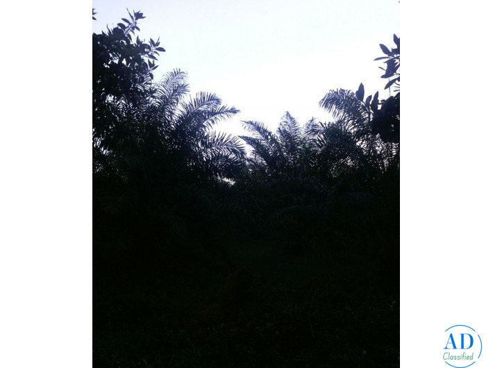 Mi propiedad en el Caribbean!