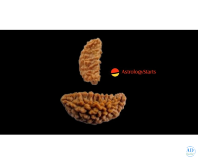 Rudraksha