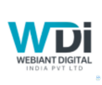 Digital Marketing Company in Delhi NCR Delivering E-commerce Marketing Services