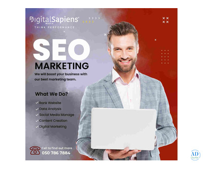 Expert SEO Services Dubai – By Digital Media Sapiens