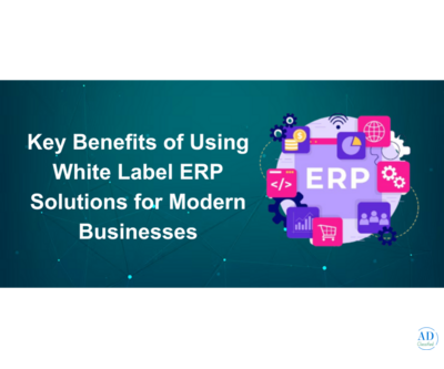 Partner with India’s Top White Label ERP Development Company – Techzarinfo