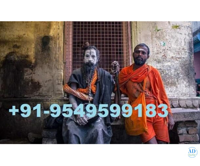 Love Problem Solution Specialties Baba ji 09549599183