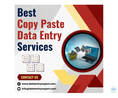Best Copy Paste Data Entry Services at Affordable Prices