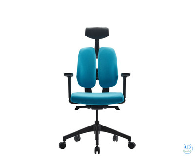 Duorest 2.0B - Ergonomic Chair