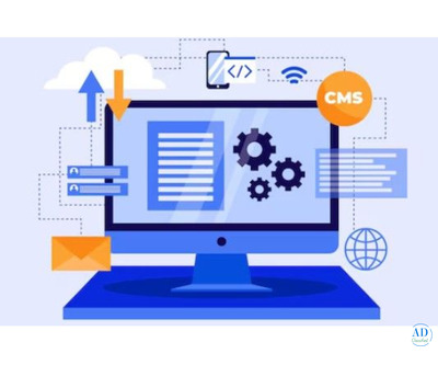 web development services in Bangalore