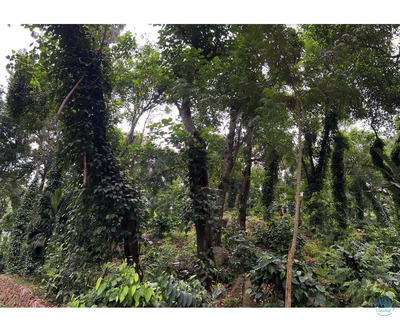URC Thulasi Estate