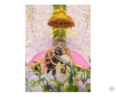 Famous Temples in Vrindavan