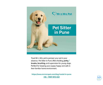 Pet Sitter in Pune