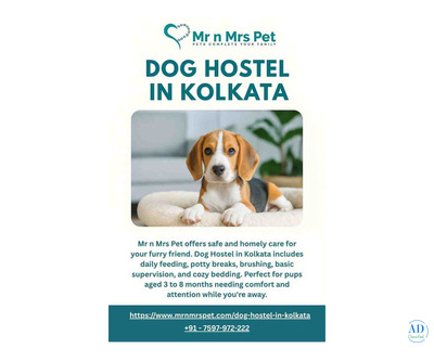 Dog Hostel in Kolkata