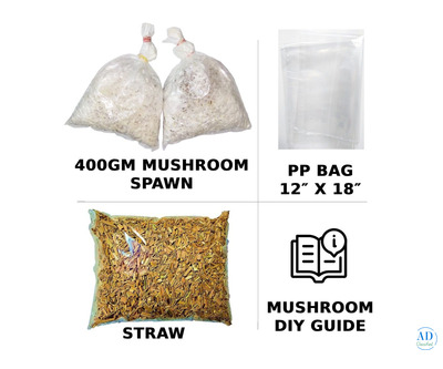 Grow Fresh Mushrooms at Home with Gachwala’s Mushroom Growing Kit