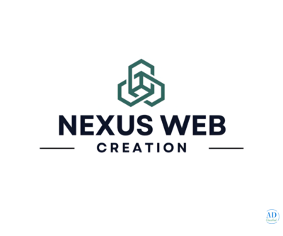 Nexus Web Creation | Ecommerce Web Design Company in Delhi