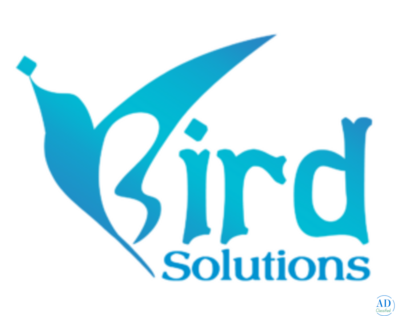 iBird Solutions – Ahmedabad’s Top Digital Marketing & Web Agency