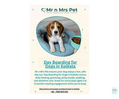 Day Boarding for Dogs in Kolkata