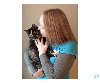 Franklin Cat Sitter – Personalized At-Home Pet Care