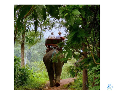 Embark on a Wild Journey with Jungle Safari Corbett National Park