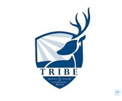Tribe21 Consultancy Services Private Limited