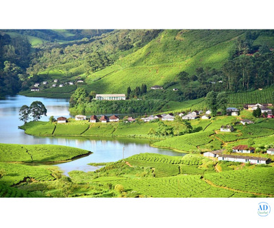 South India Travel Packages: A Journey Through Culture and Beauty