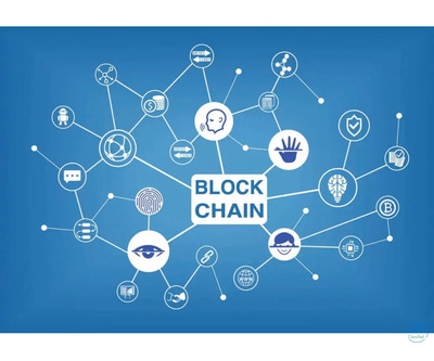 Launch Your Blockchain App: Public or Private, We Build Both!