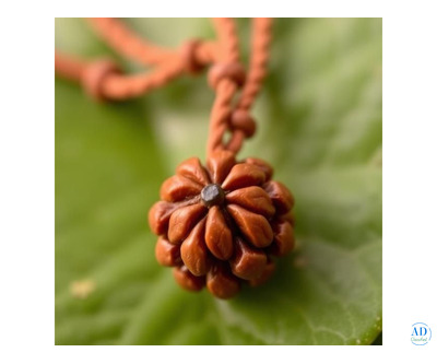 Lab Tested and Original Certified Nepali Rudraksha