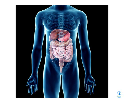 Best Gastrointestinal Surgeon in India: Expert in Advanced GI Surgery