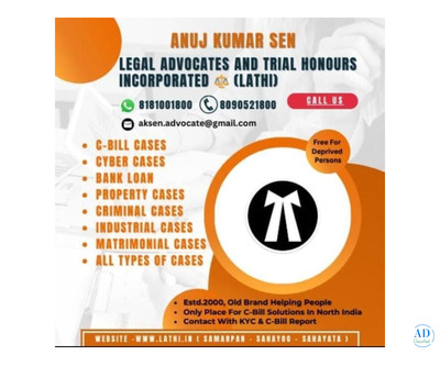 Legal and Financial Consultant