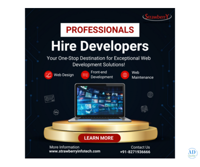 Strawberry Infotech, Expert IT Consulting & Expert Staffing Solutions