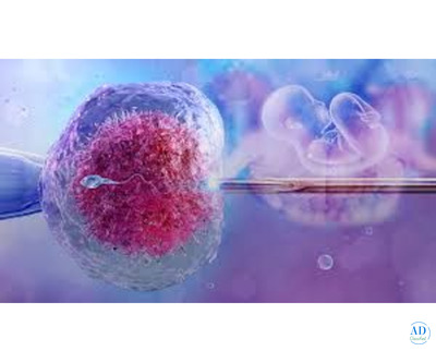 Best IVF Center in Jaipur – Ritu IVF Clinic