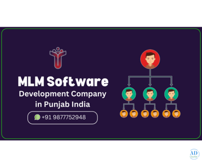 Top MLM Software Development Company in Punjab