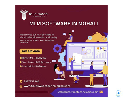 MLM Software Development Company in Chandigarh
