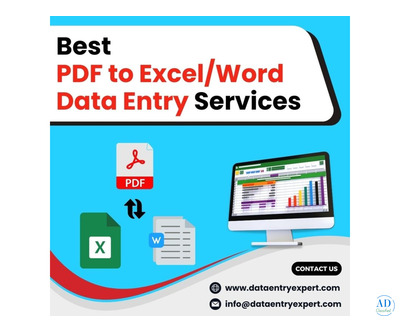 Best PDF to Word/Excel Data Entry Services