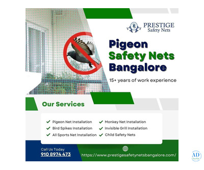 Professional Pigeon Safety Nets Installation in Bangalore – Call Now