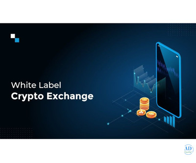 Experience High-Speed Global Expansion With Our White-Label Crypto Exchange