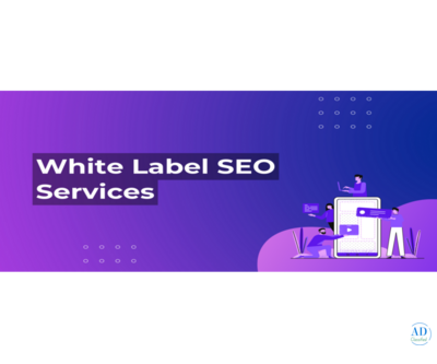 Expert White Label SEO Services | OWT