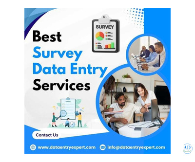 Best Survey & Questionnaire Data Entry Services