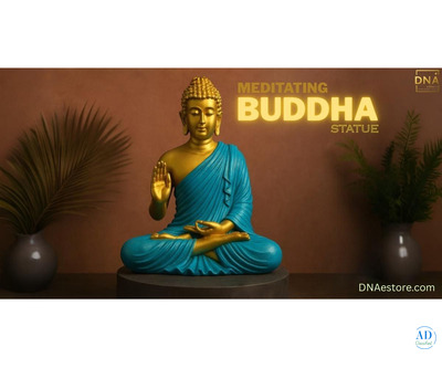 Premium Buddha Showpiece – Exclusively at DNA eStore