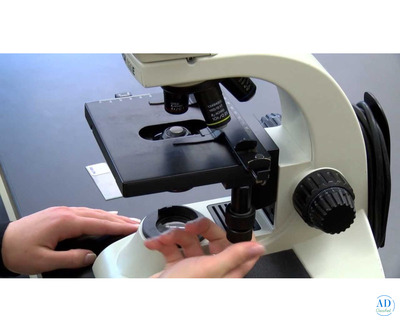 Top Microscope Manufacturer in India – Precision, Innovation, and Reliability