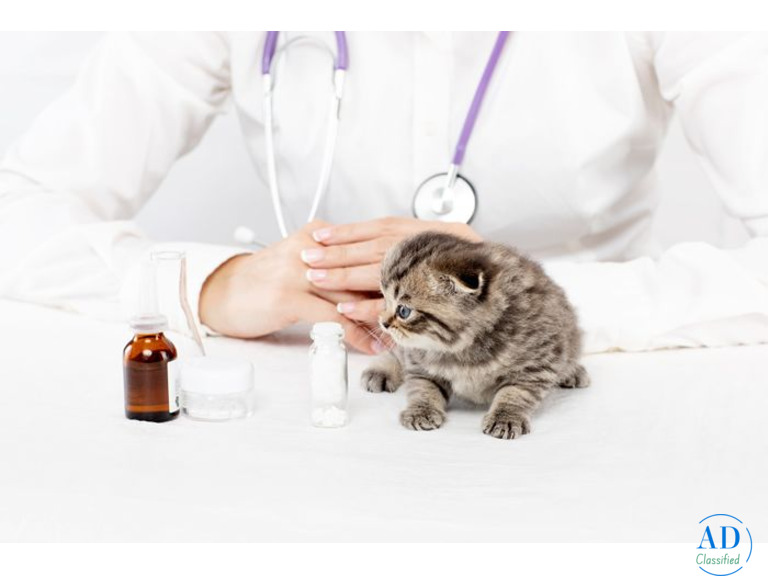 Boulevard Animal Hospital