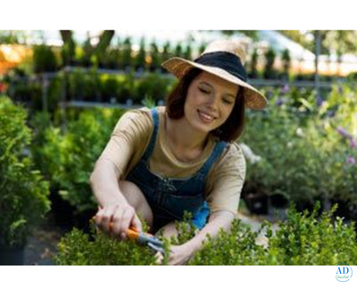 Lawn Mowing in Melbourne - I love gardening