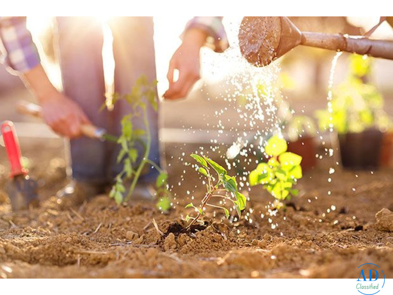 Lawn Mowing in Melbourne - I love gardening