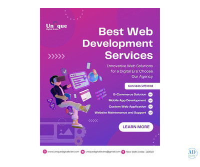 Professional Web Development Company in Delhi | Unique Digital Brains