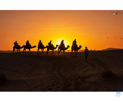 Ultimate Camel Trekking Experience in Jaisalmer | TDunes