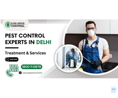 Pest Control in Delhi: Prices, Methods, and Trusted Companies Near You