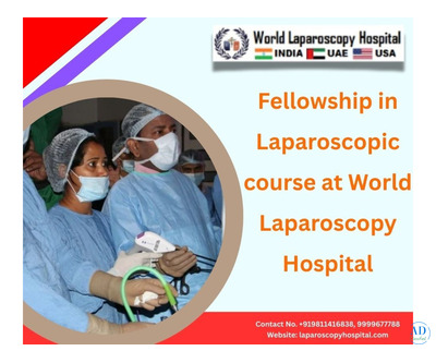 Fellowship in Laparoscopic course